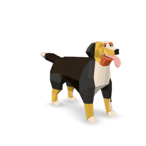 Low Poly Bernese 3D Model
