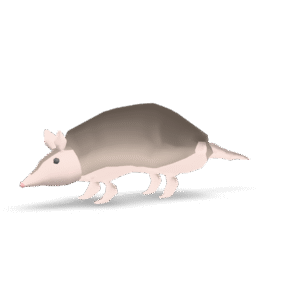 Simple Armadillo Model 3D Model
