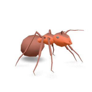 Simple Ant Model 3D Model