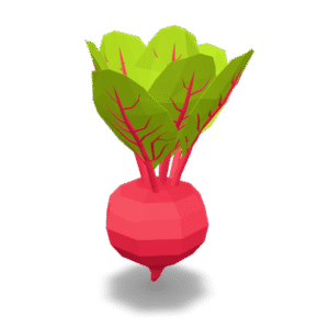 Low Poly Beetroot 3D Model