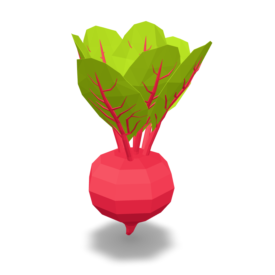 Low Poly Beetroot 3D Model