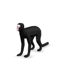 Low Poly Monkey 3D Model
