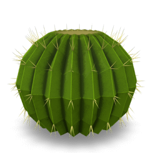 Barrel Cactus 3D Model