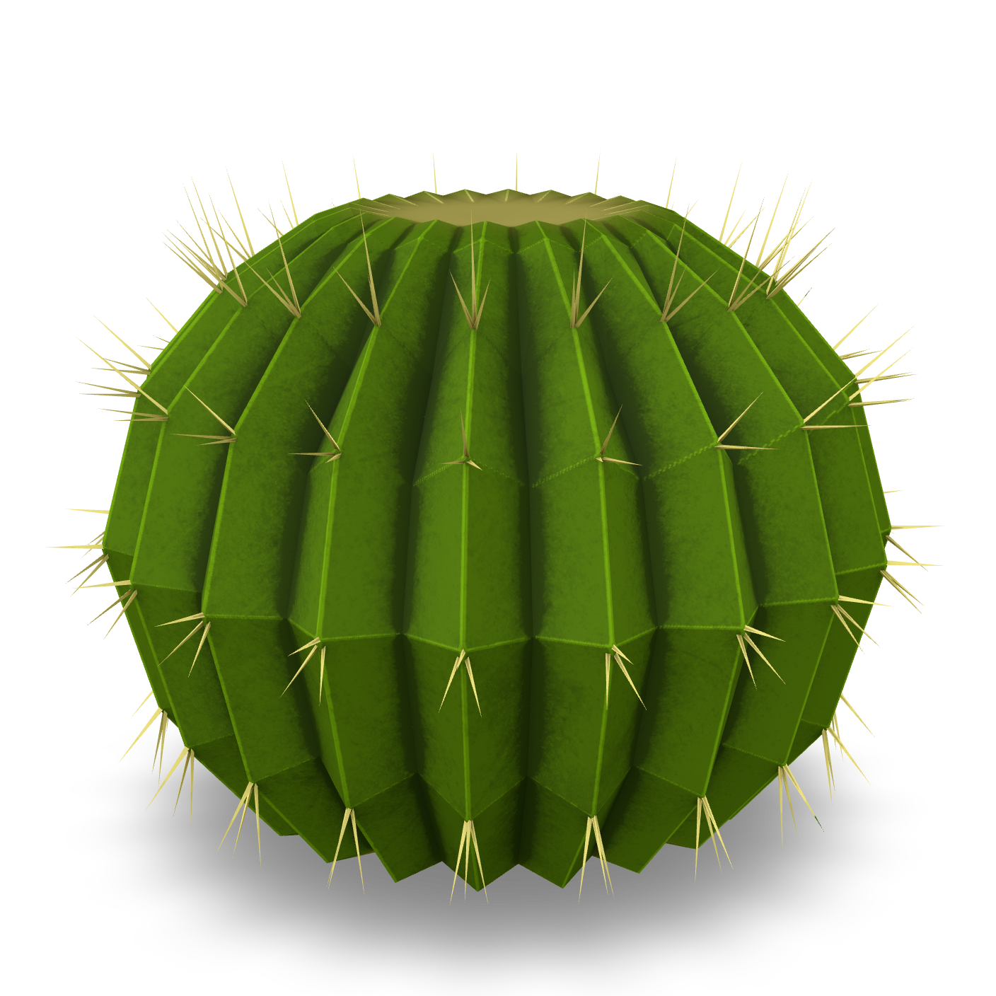 Barrel Cactus 3D Model