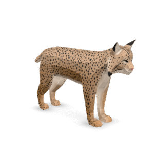 Low Poly Lynx 3D Model