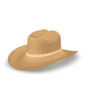 Low Poly Cowboy Hat 3D Model