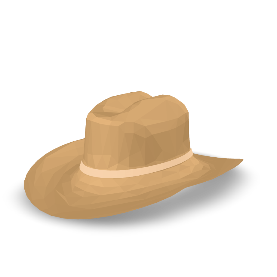 Low Poly Cowboy Hat 3D Model