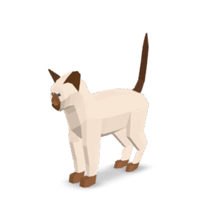 Low Poly Siamese 3D Model