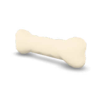 Simple Bone 3D Model