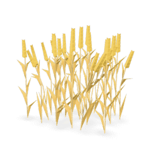 Stylized Wheat Field 3D Model