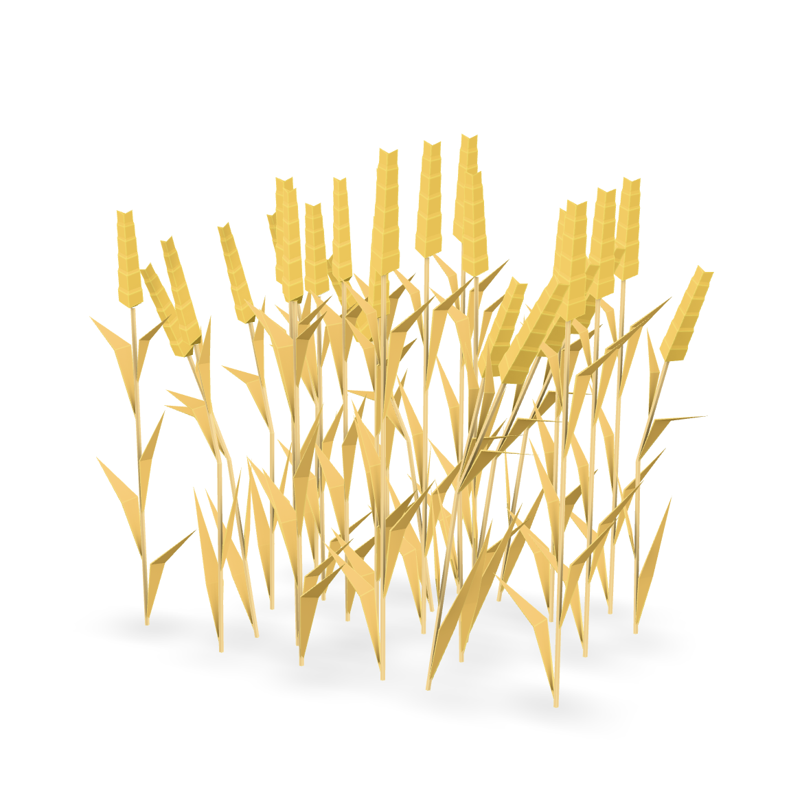 Stylized Wheat Field 3D Model