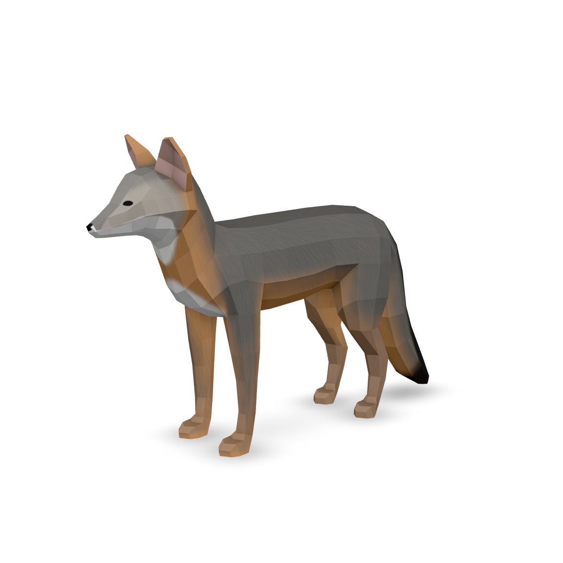 Low Poly Coyote 3D Model