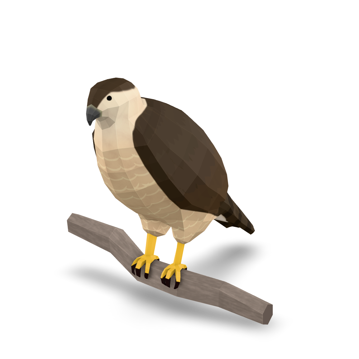 Low Poly Hawk 3D Model