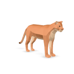 Low Poly Cougar 3D Model