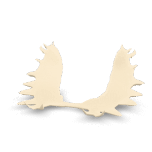 Stylized Moose Antlers 3D Model