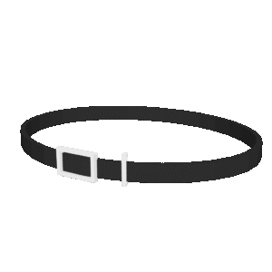 Simple Low Poly Belt 3D Model
