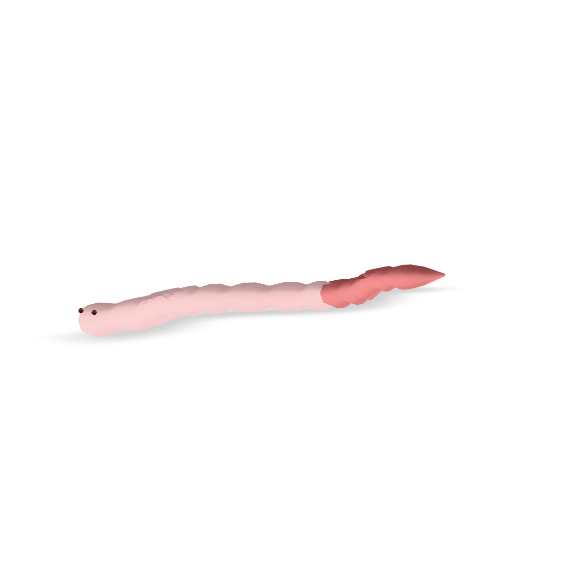 Simple Worm Model 3D Model