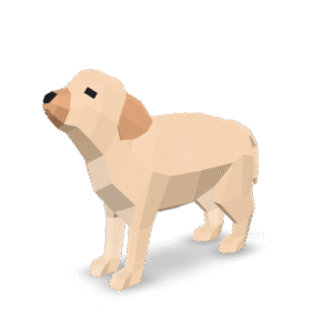 Low Poly Puppy 3D Model