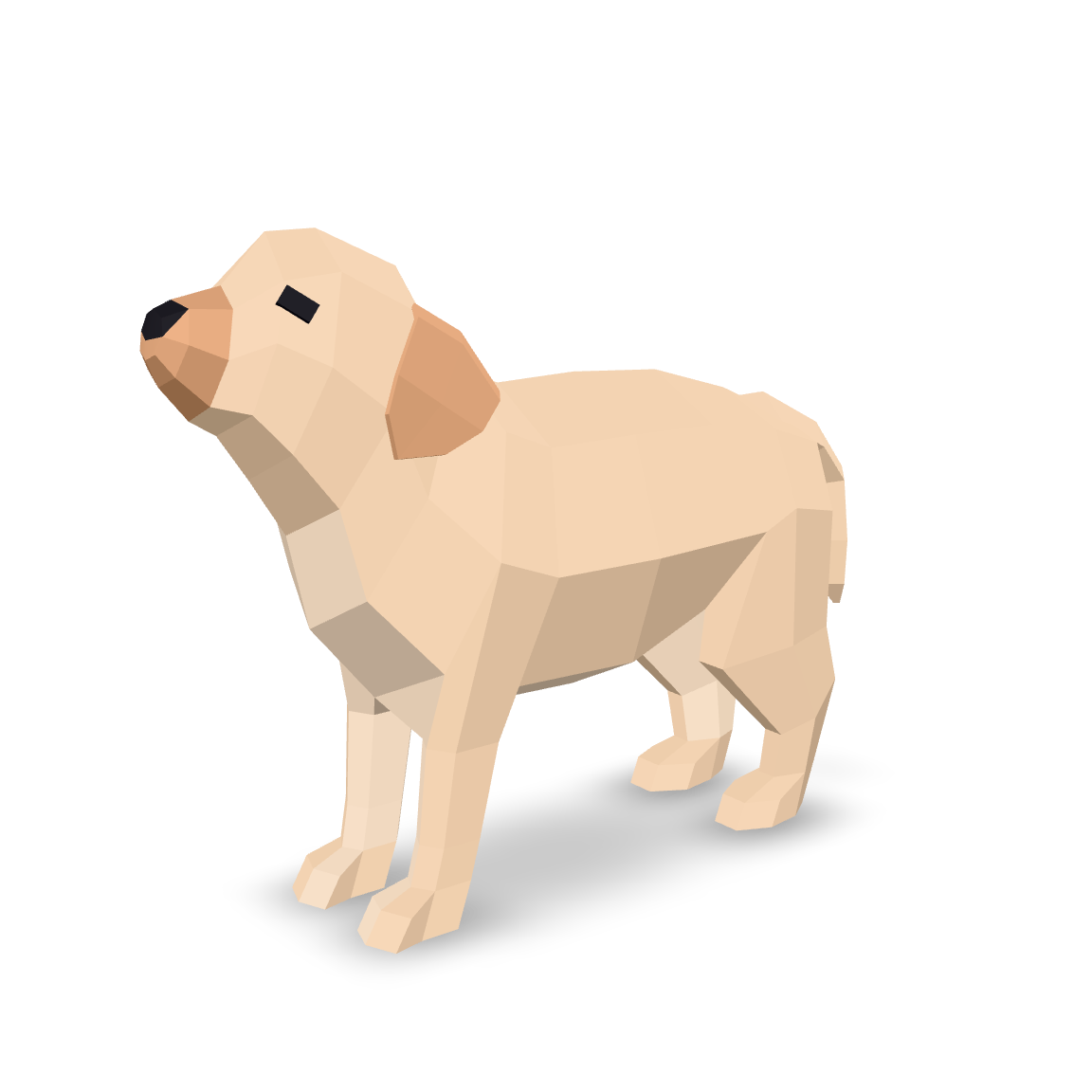 Low Poly Puppy 3D Model