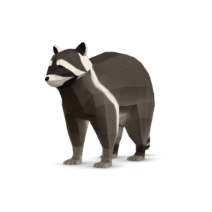 Low Poly Raccoon 3D Model