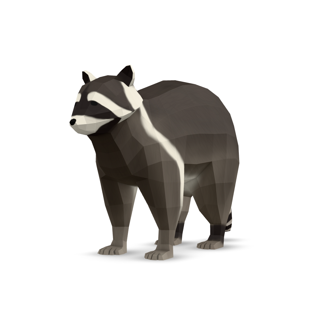 Low Poly Raccoon 3D Model