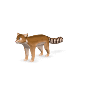 Low Poly Coati 3D Model