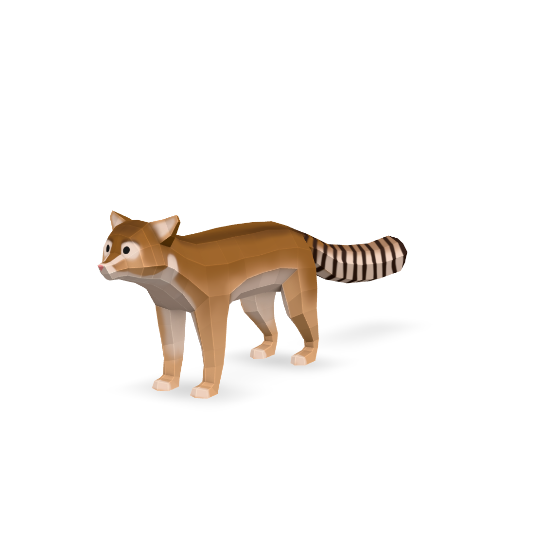 Low Poly Coati 3D Model