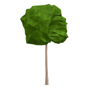 Low Poly Tree 3D Model
