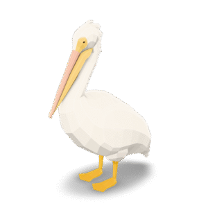 Low Poly Pelican 3D Model