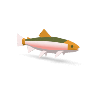 Low Poly Salmon 3D Model