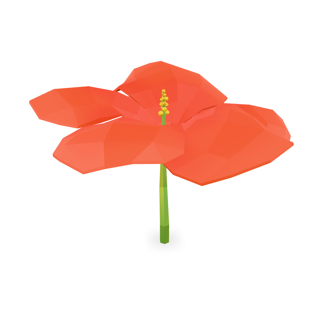 Low Poly Hibiscus 3D Model