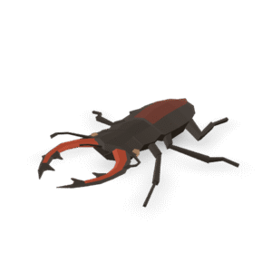 Low Poly Beetle 3D Model
