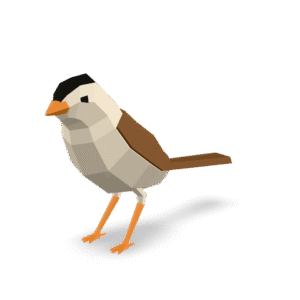 Low Poly Bird 3D Model