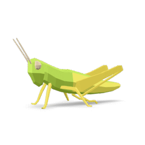 Low Poly Grasshopper 3D Model