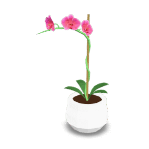 Low Poly Orchid 3D Model