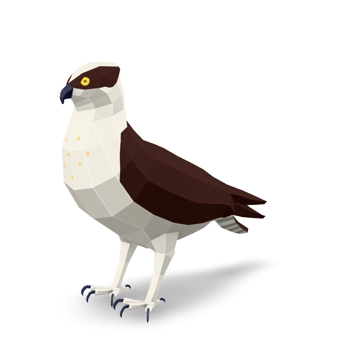 Low Poly Osprey 3D Model