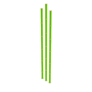 Stylized Bamboo Stalks 3D Model