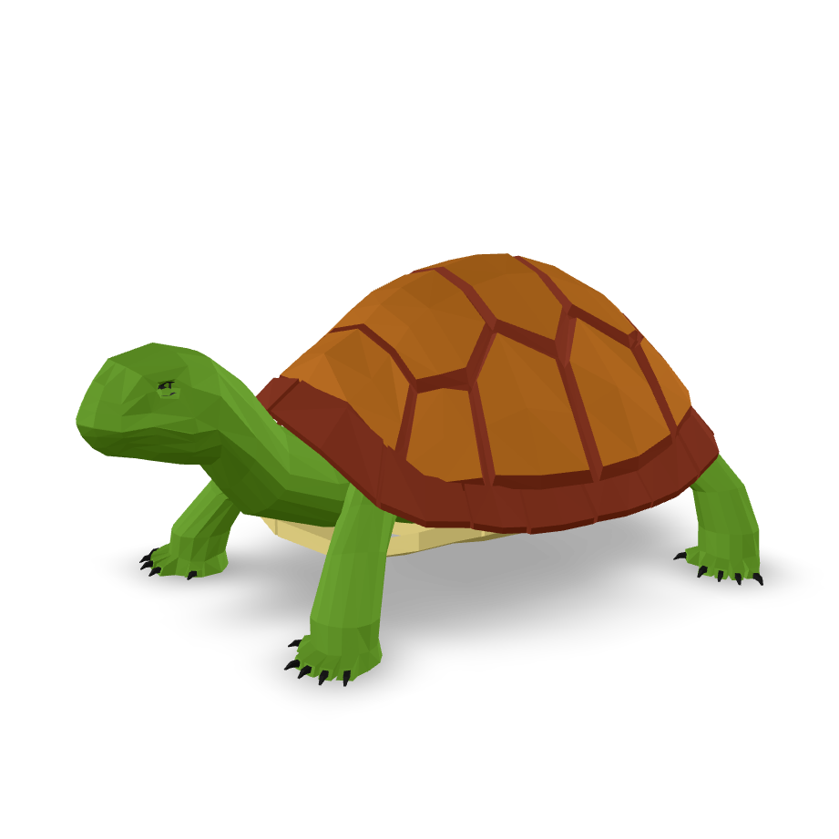 Low Poly Turtle 3D Model