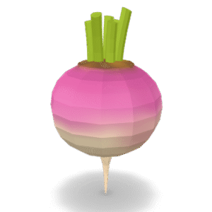 Low Poly Turnip 3D Model