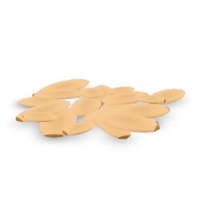 Pile of Seeds 3D Model