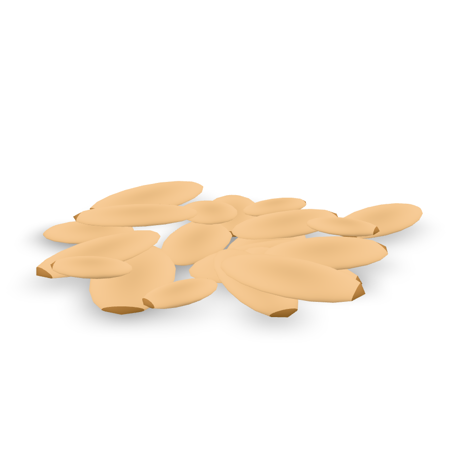 Pile of Seeds 3D Model
