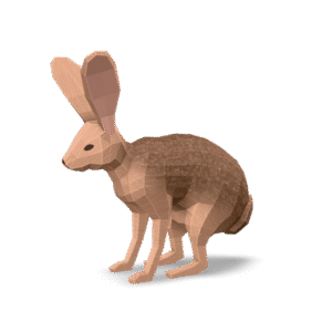 Low Poly Rabbit 3D Model