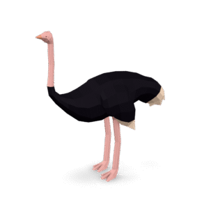 Low Poly Ostrich 3D Model
