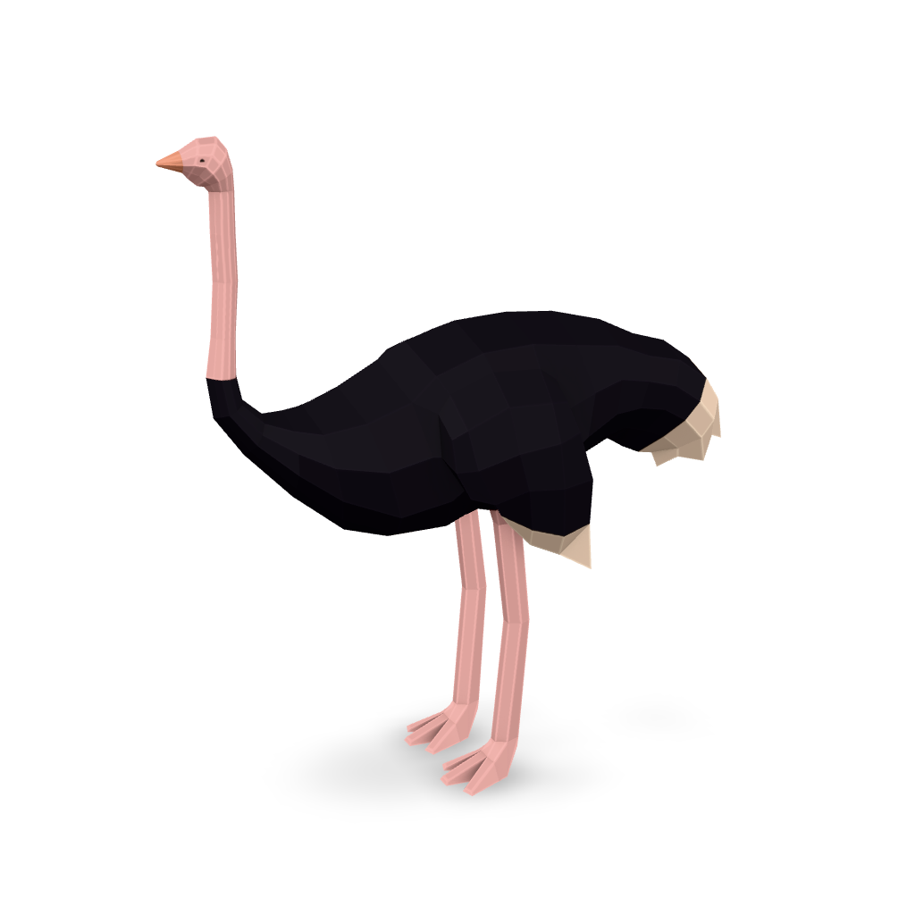 Low Poly Ostrich 3D Model
