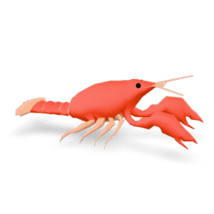 Low Poly Lobster 3D Model