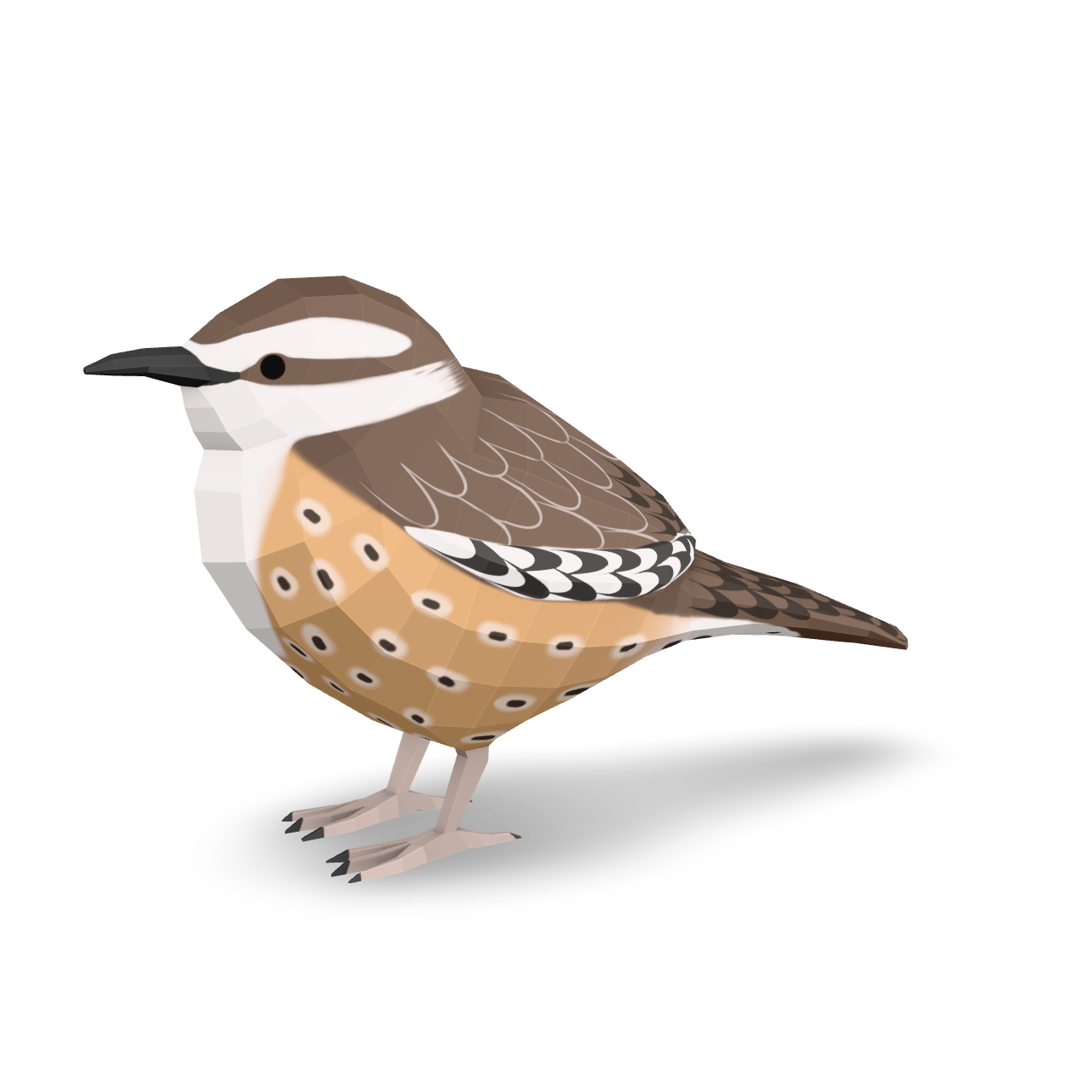 Stylized Carolina Wren 3D Model