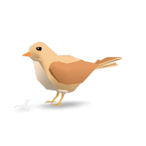 Low Poly Sparrow 3D Model