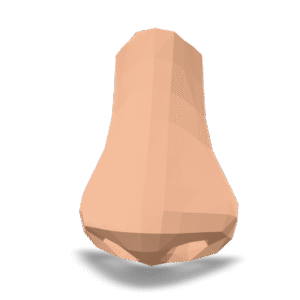 Low Poly Nose 3D Model
