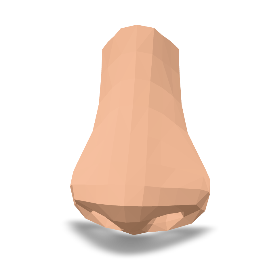 Low Poly Nose 3D Model