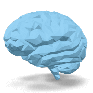 Low Poly Brain 3D Model